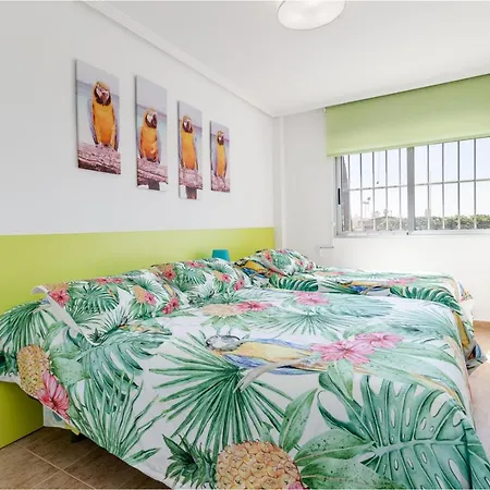Palm-beach Apartment